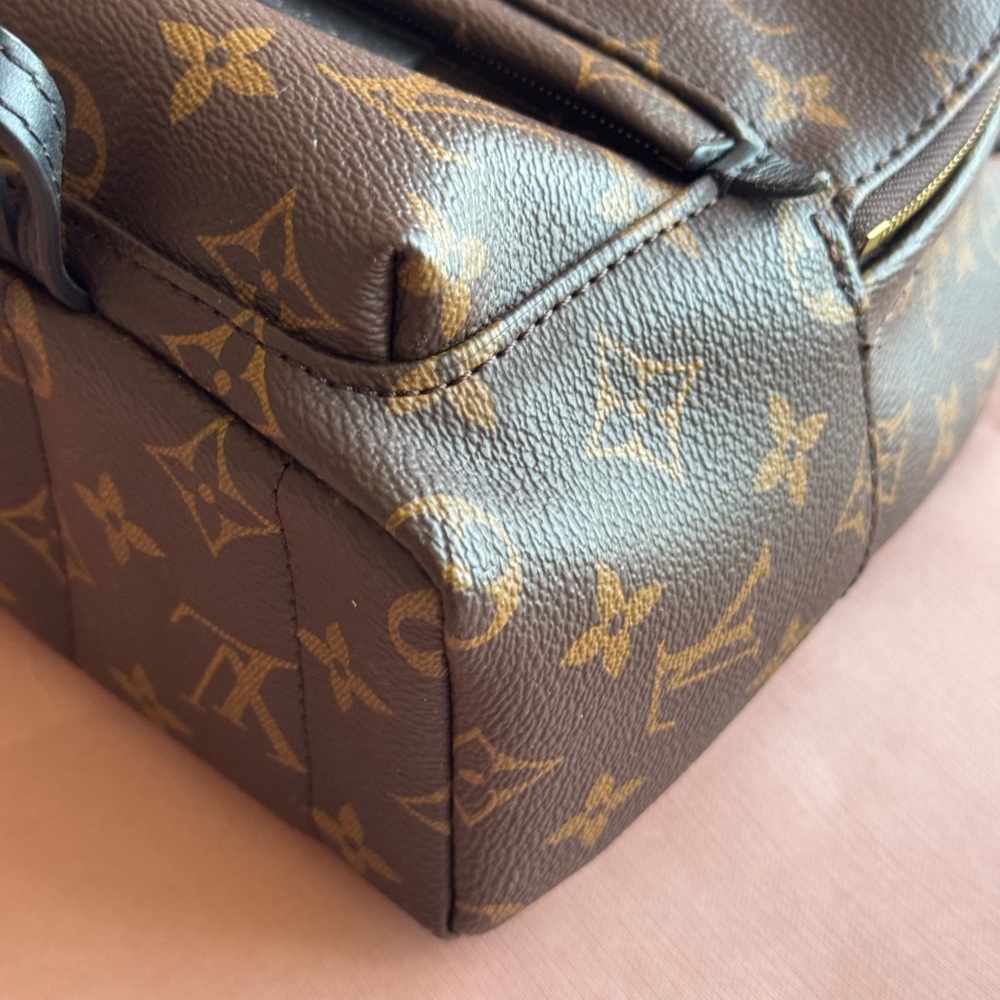 Louis Vuitton Palm Springs Mini - Picture 3 of 13